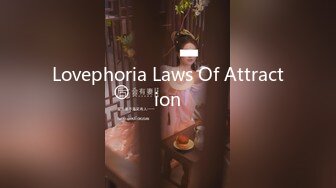 Lovephoria Laws Of Attraction