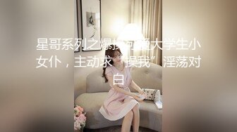 星哥系列之爆操可爱大学生小女仆，主动求“操我”淫荡对白