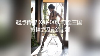 起点传媒 XSJ-005 奇淫三国 黄精之乱-金宝娜