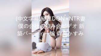 (中文字幕)極悪DQN×NTR妻 僕の会社の飲み会ビデオ 新築パーティー編 森高かすみ