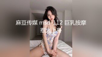 麻豆传媒 msd-112 巨乳按摩惹火上身