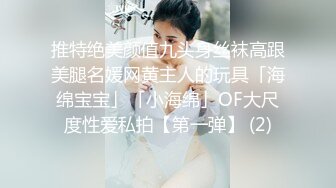 推特绝美颜值九头身丝袜高跟美腿名媛网黄主人的玩具「海绵宝宝」「小海绵」OF大尺度性爱私拍【第一弹】 (2)