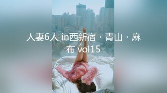 人妻6人 in西新宿・青山・麻布 vol15