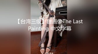 【台湾三级】自画像The Last Painting 中文字幕