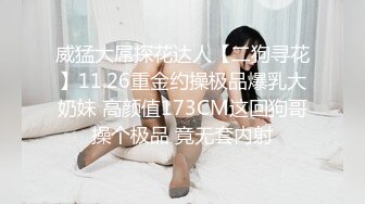 威猛大屌探花达人【二狗寻花】11.26重金约操极品爆乳大奶妹 高颜值173CM这回狗哥操个极品 竟无套内射