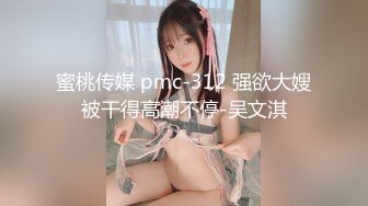 蜜桃传媒 pmc-312 强欲大嫂被干得高潮不停-吴文淇