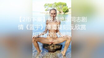 【2币下集】经典绝版同志剧情《蓝宇》高清复刻版,欣赏胡军和刘烨嫩屌